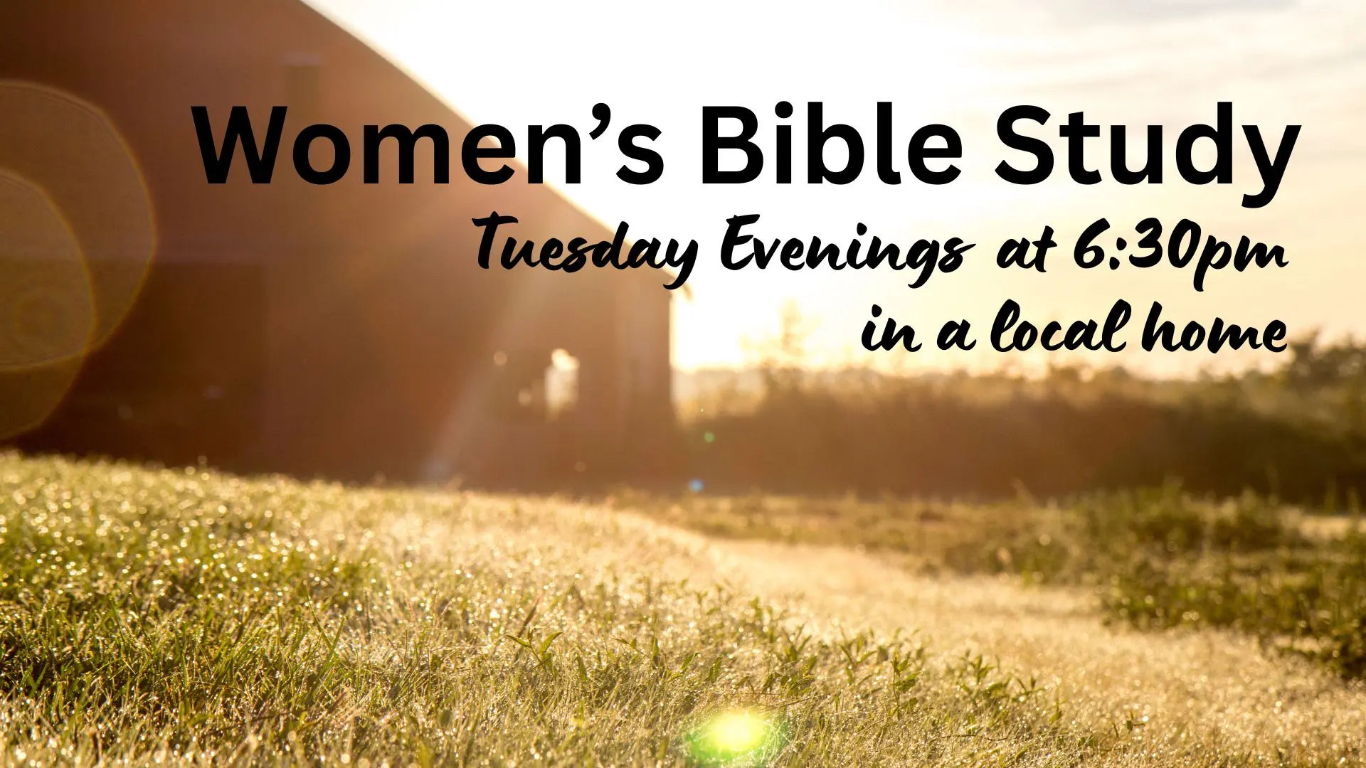 Women’s Bible Study (1)