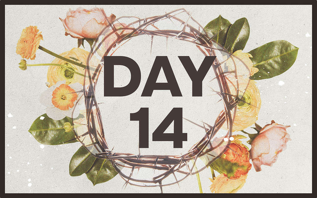 21 Days of Prayer & Fasting: Day 14, Sunday – “Love Your Enemies”